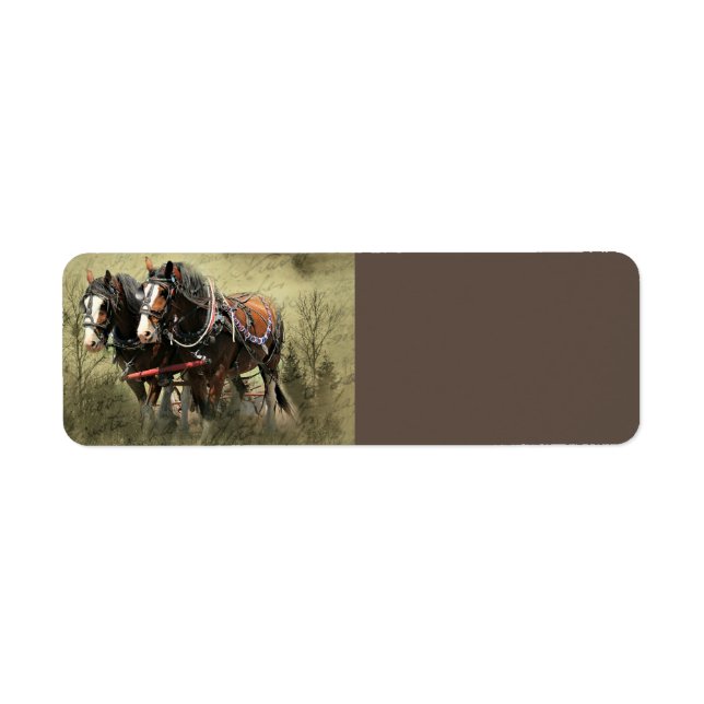 Carte postale Patiné vintage Clydesdale (Devant)