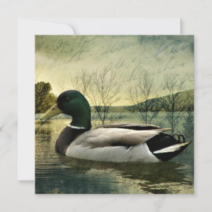Carte postale Patinée vintage Mallard Duck