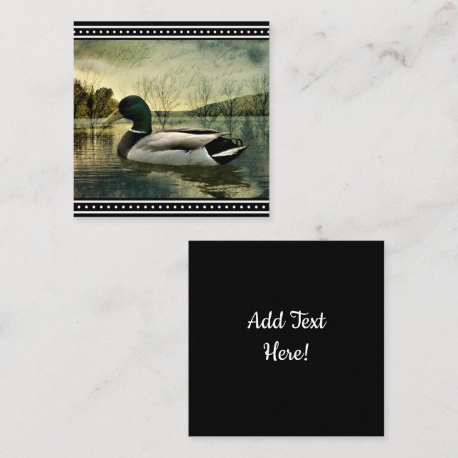 Carte postale Patinée vintage Mallard Duck (Devant / Derrière)