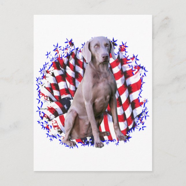 Carte Postale Patriot de Weimaraner (Devant)