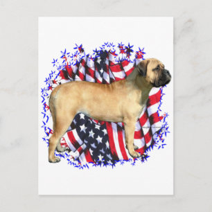 Carte Postale Patriote Bullmastiff