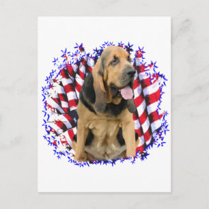 Carte Postale Patriote de Bloodhound