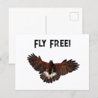 Patriotic Bald Eagle USA Flying Free Nature Art