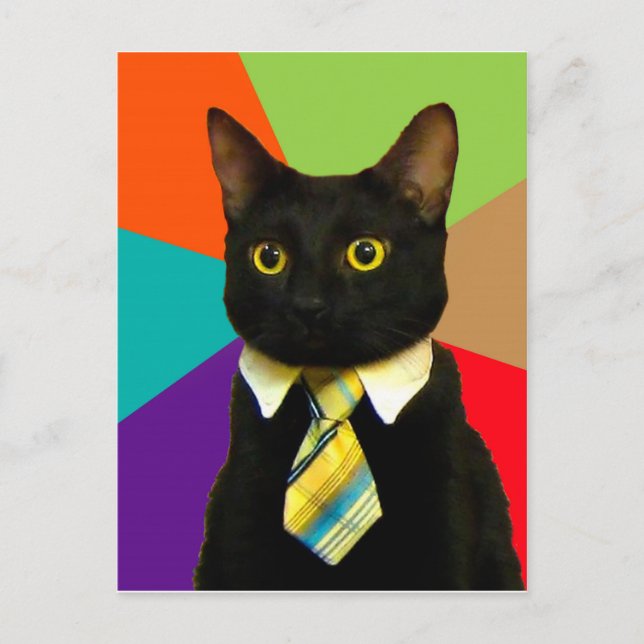 Carte Postale Patron de chat en cravate (Devant)