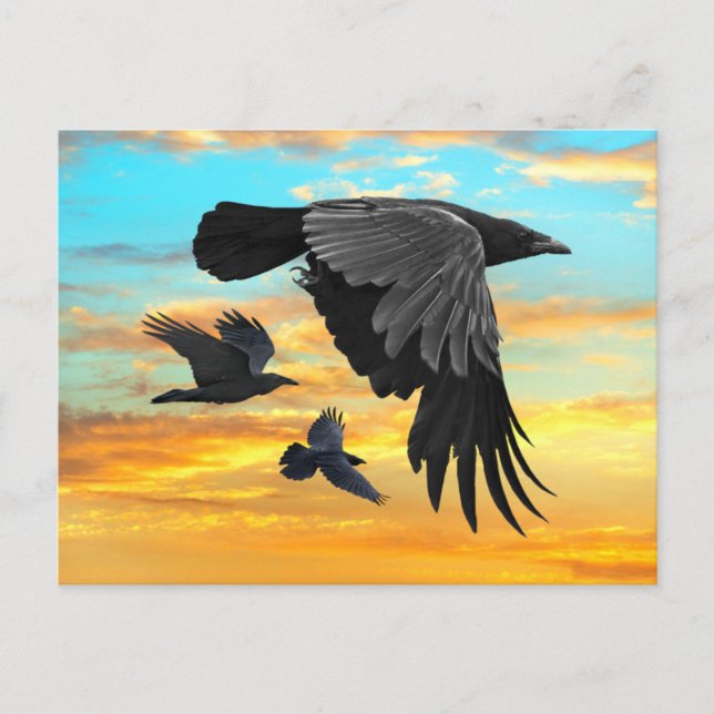 Carte Postale "Patrouille de l'aube" (Devant)