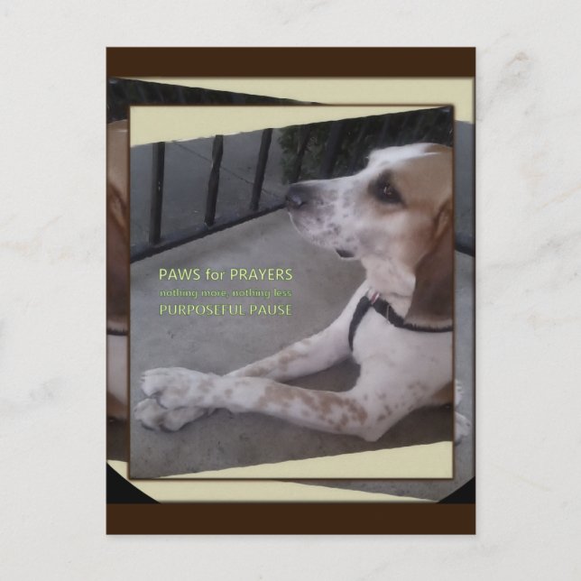 Carte postale Patrouilles de chien de prière (Devant)
