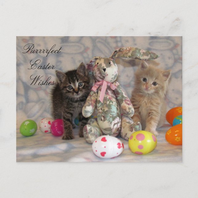 Carte postale Patton et Buffington Easter (Devant)
