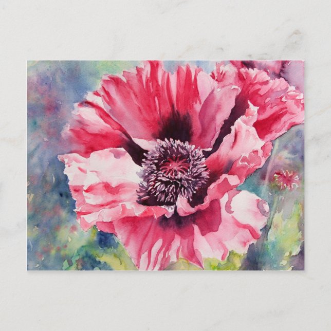 Carte Postale Pattys Plum (Devant)