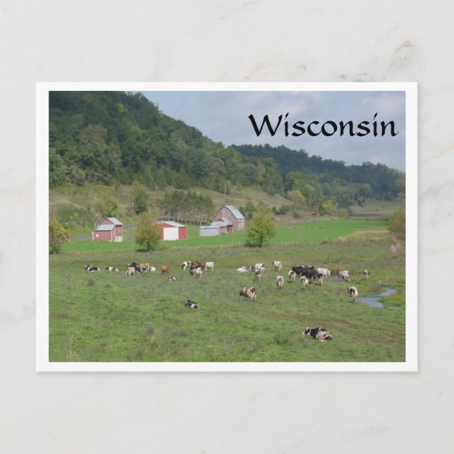 Carte Postale Pâturage du Wisconsin (Devant)