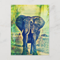Paumes d'Éléphant