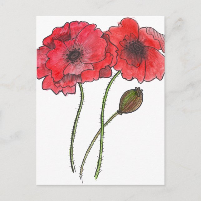 Carte Postale Pavot aquarelle (Devant)