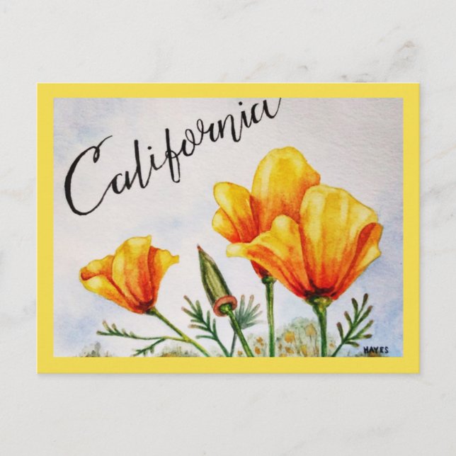 Carte Postale Pavot de Californie (Devant)