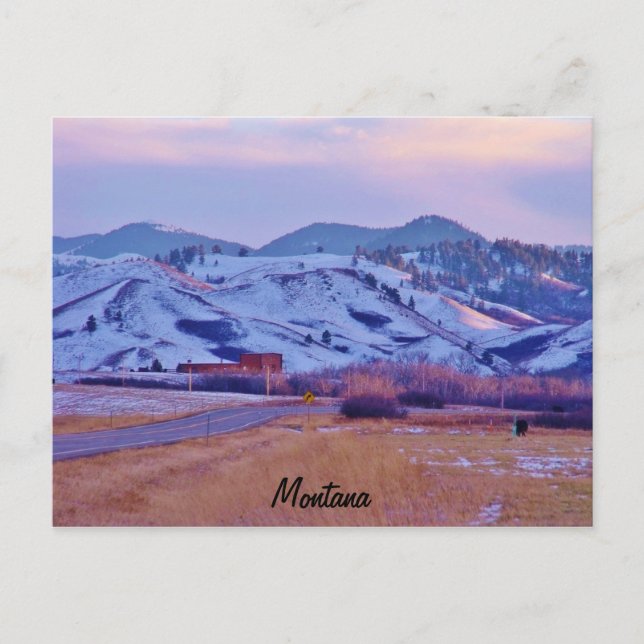 Carte Postale Paw de l'ours (Devant)