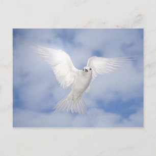 Carte Postale Pax