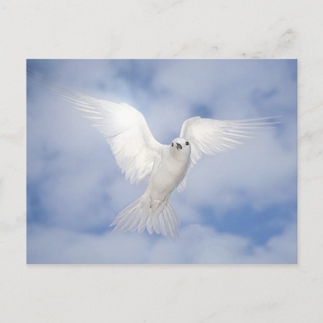 Carte Postale Pax (Devant)