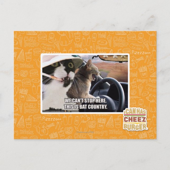 Carte Postale Pays chauve (Devant)