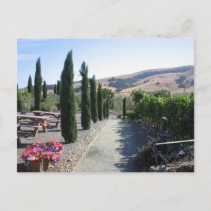 Carte Postale Pays de vin