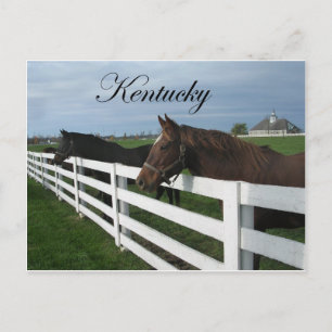 Carte Postale Pays du Kentucky Bluegrass