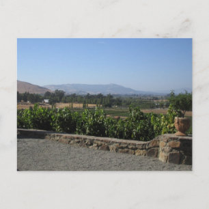 Carte Postale Pays du vin