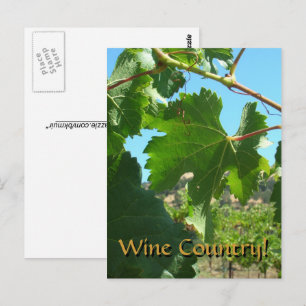 Carte postale - Pays du vin