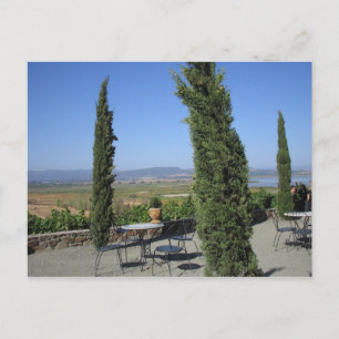 Carte Postale Pays du vin
