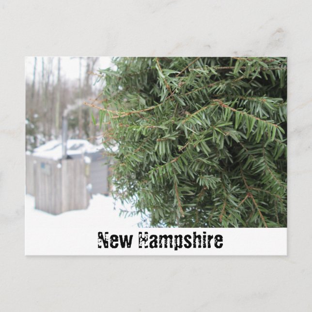 Carte Postale Pays NH Winter (Devant)