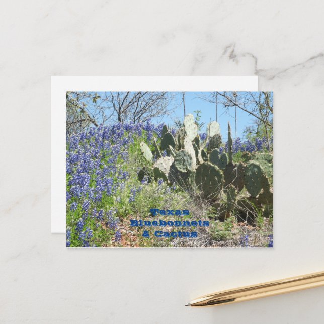 Carte postale Pays Texas Bluebonnets et Cactus (Devant/Arrière en situation)