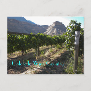 Carte Postale Pays viticole du Colorado