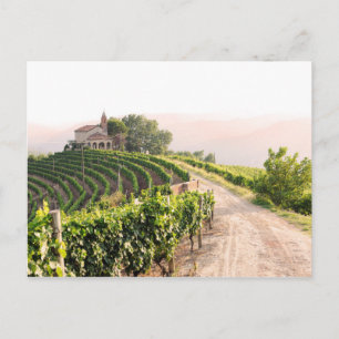 Carte Postale Paysage avec vignobles et église