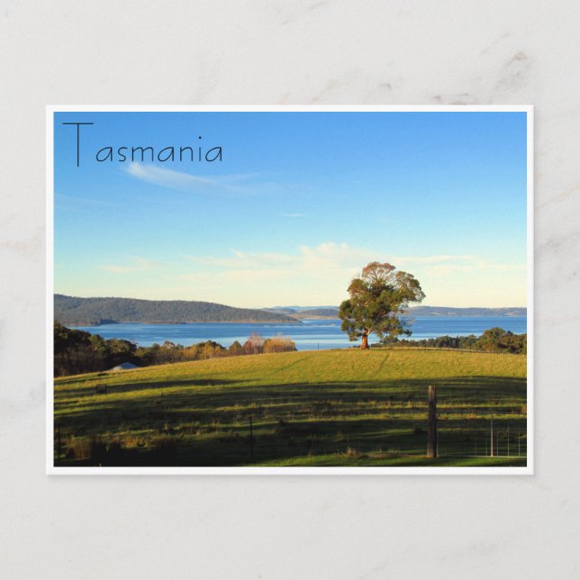 Carte Postale paysage boisé (Devant)