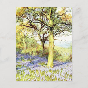Carte Postale Paysage calme arboré et fleuri