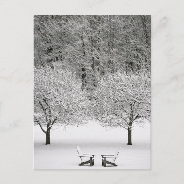 Carte Postale Paysage couvert de neige (Devant)