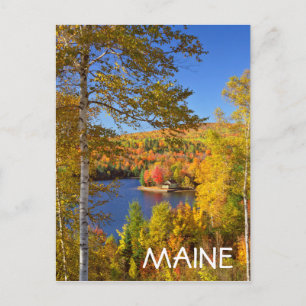 Carte Postale Paysage d'arbres en automne, Maine