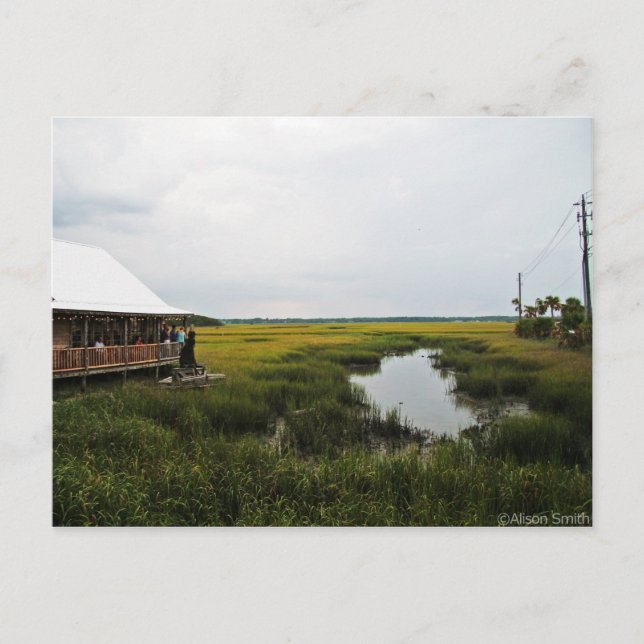Carte Postale Paysage de Floride (Devant)