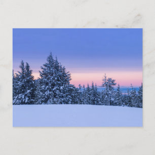 Carte Postale Paysage de la forêt d'hiver au coucher du soleil