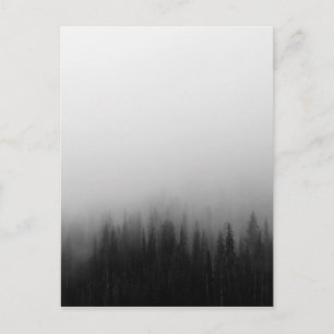 Carte Postale Paysage de la nature forestière Scène Foggy Mystic