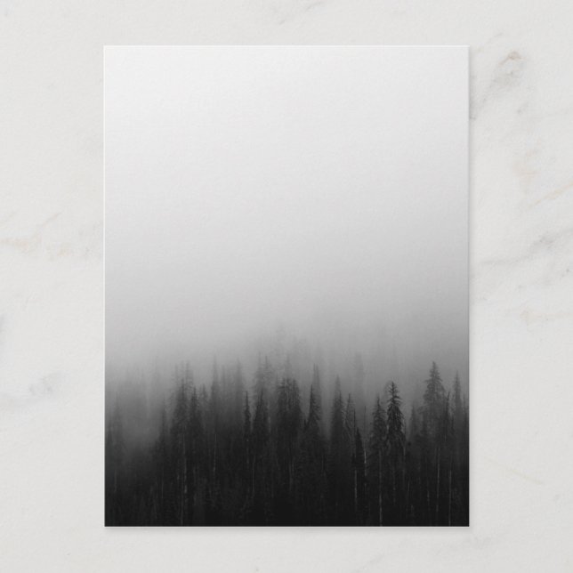 Carte Postale Paysage de la nature forestière Scène Foggy Mystic (Devant)