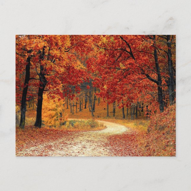 Carte Postale Paysage de la saison rouge d'automne (Devant)