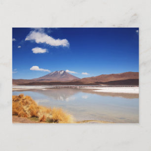 Carte Postale Paysage de l'Altiplano avec volcan en Bolivie