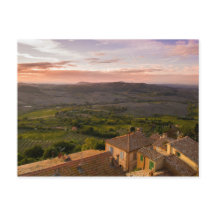 Paysage de Montepulciano Italie, vignobles et mais