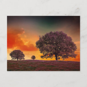 Carte Postale Paysage de nature de ciel coloré d'arbres beau