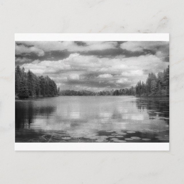 Carte Postale Paysage de Northwoods (Devant)