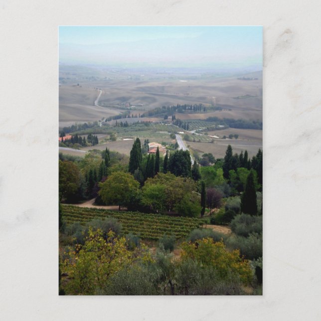 Carte Postale Paysage de Pienza (Devant)