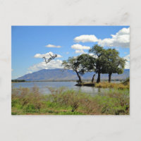 Paysage de Zambie