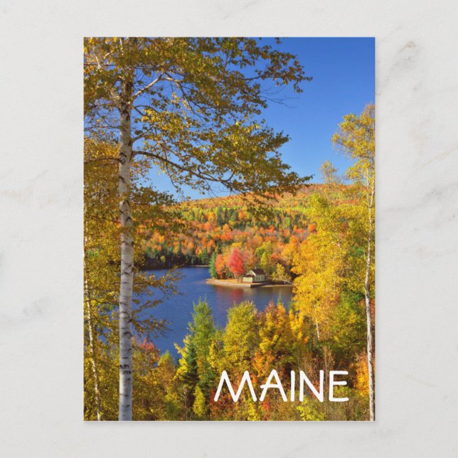 Carte Postale Paysage des arbres d'automne, Maine (Devant)