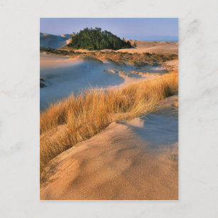 Carte Postale Paysage Des Dunes De Sable De L'Oregon