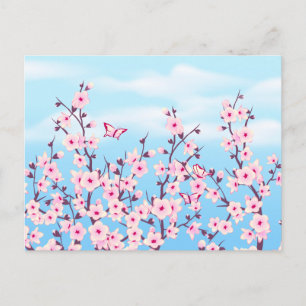 Carte Postale Paysage des fleurs de cerisiers