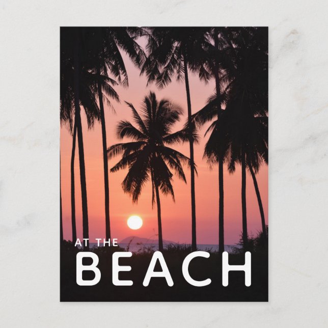 Carte Postale Paysage des palmiers à coco (Devant)