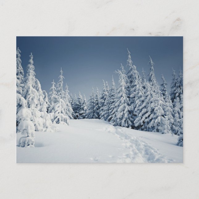 Carte Postale Paysage d'hiver (Devant)