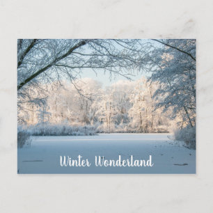 Carte postale Paysage d'hiver